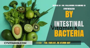 Gut Health Essentials: Vitamins Synthesized by Intestinal Bacteria