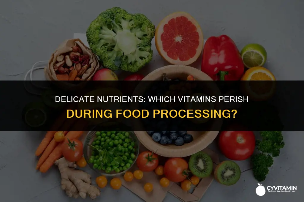 which of these vitamins is easily destroyed by food processing