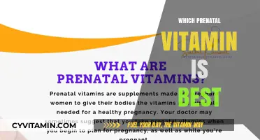 Choosing the Best Prenatal Vitamin for a Healthy Pregnancy Journey