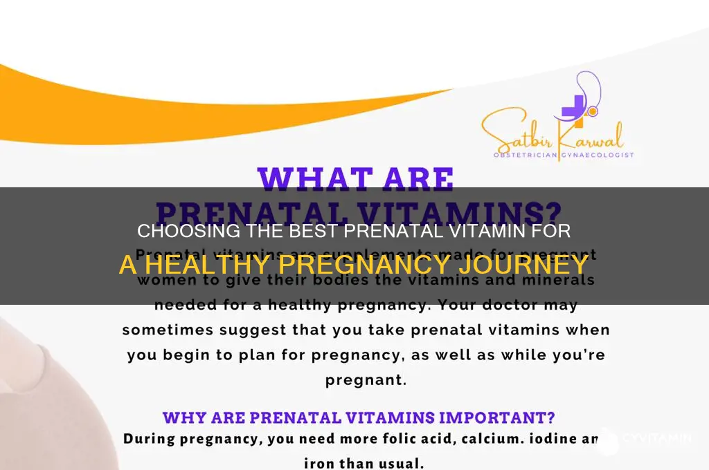 which prenatal vitamin is best