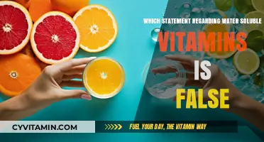 Debunking Myths: The Truth About Water-Soluble Vitamins