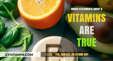 Unveiling the Truth: Essential Facts About B Vitamins
