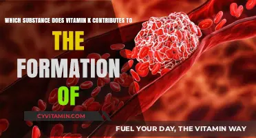 Unlocking the Power of Vitamin K: Essential for Blood Clotting and Bone Health