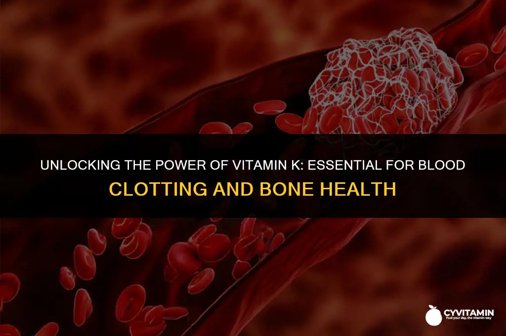 which substance does vitamin k contributes to the formation of