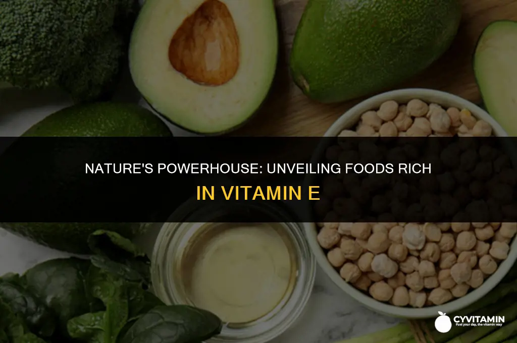 which things contain vitamin e
