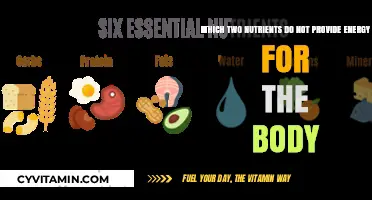 Unveiling the Truth: Two Essential Nutrients That Don't Fuel Your Body