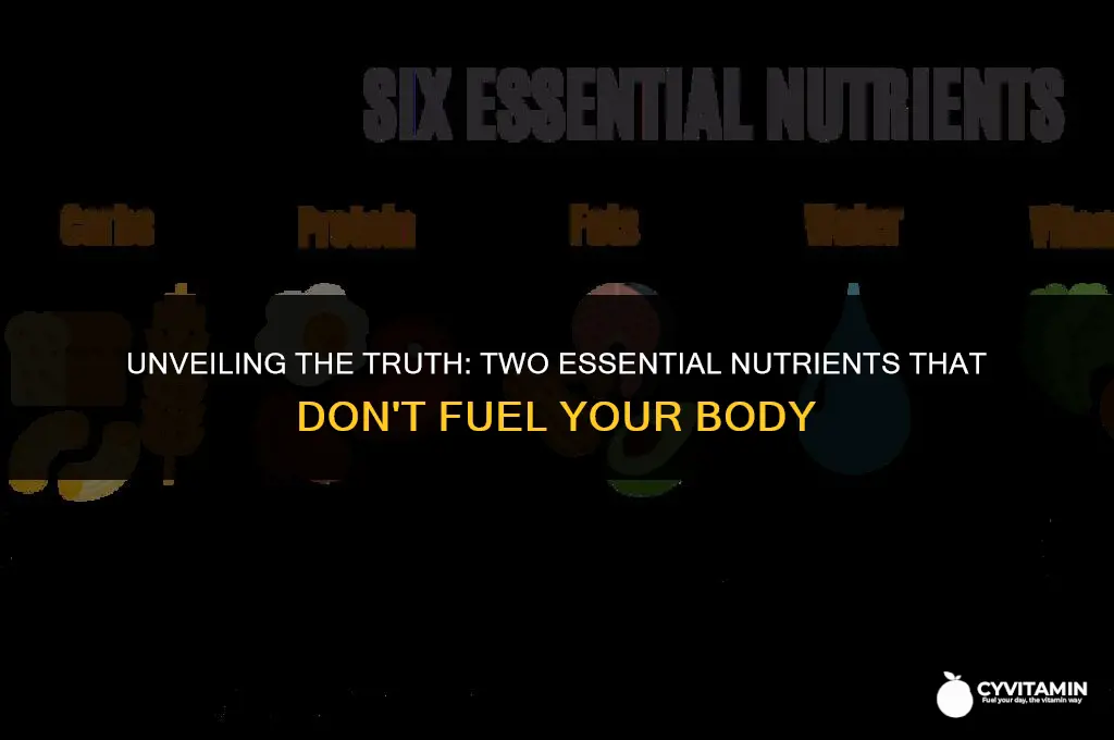 which two nutrients do not provide energy for the body