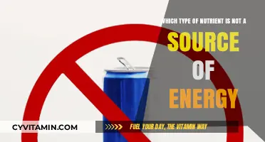 Exploring Nutrients: Which One Doesn't Fuel Your Body?