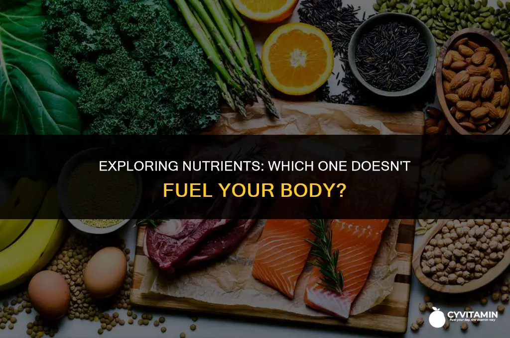 which type of nutrient is not a source of energy