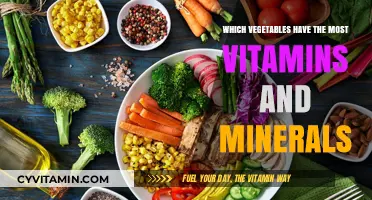 Nature's Powerhouses: Vegetables Packed with Essential Vitamins and Minerals