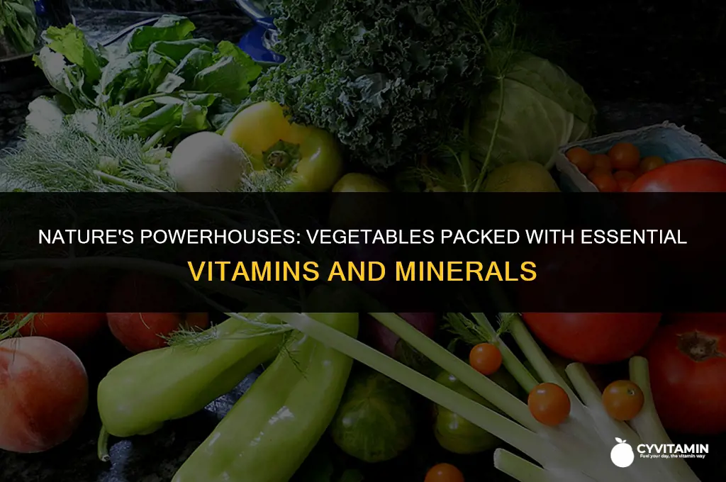 which vegetables have the most vitamins and minerals