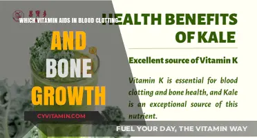 Unlocking the Power of Vitamin K: Blood Clotting and Bone Growth