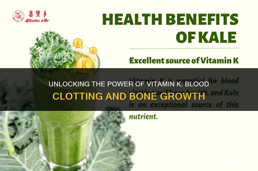 which vitamin aids in blood clotting and bone growth
