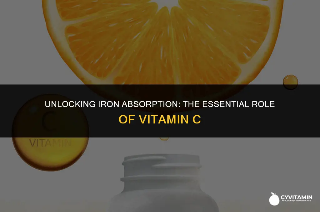 which vitamin aids in the absorption of iron