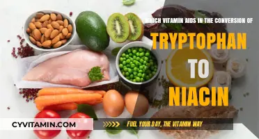Unlocking the Power of Tryptophan: The Essential Role of Vitamin B6 in Niacin Conversion