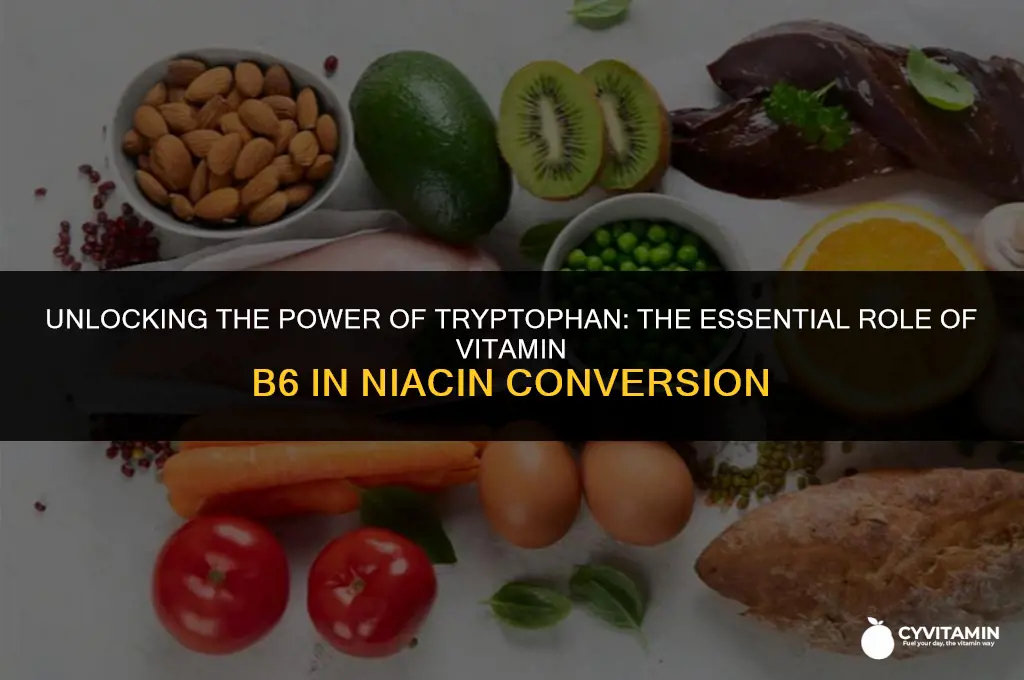which vitamin aids in the conversion of tryptophan to niacin
