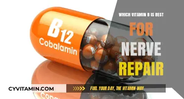 Boosting Nerve Health: The Ultimate Guide to Vitamin B for Repair