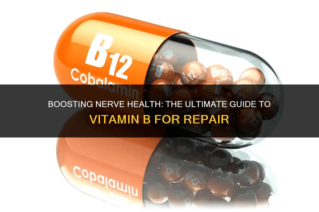 which vitamin b is best for nerve repair