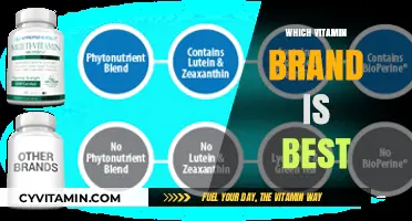 Top Vitamin Brands Compared: Which One Suits Your Health Needs Best?
