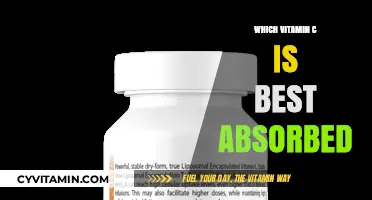 Best Absorbed Vitamin C: Top Forms for Optimal Health Benefits
