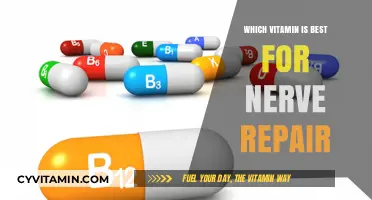 Best Vitamins for Nerve Repair: Essential Nutrients to Heal and Restore