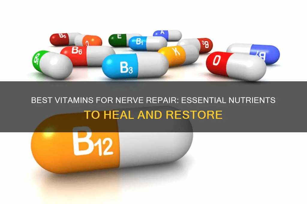 which vitamin is best for nerve repair