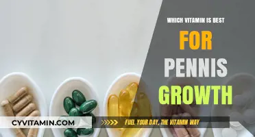 Best Vitamins for Penile Health: Fact vs. Fiction Explained