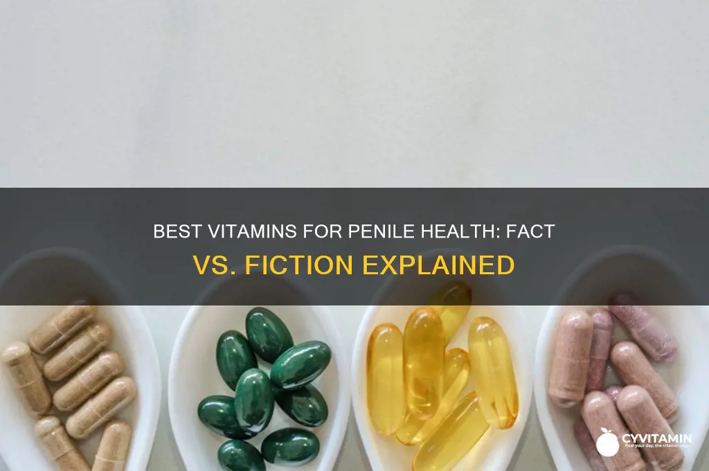 which vitamin is best for pennis growth