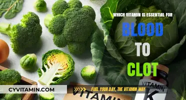 Unlocking the Clotting Power: A Vital Vitamin's Role Revealed