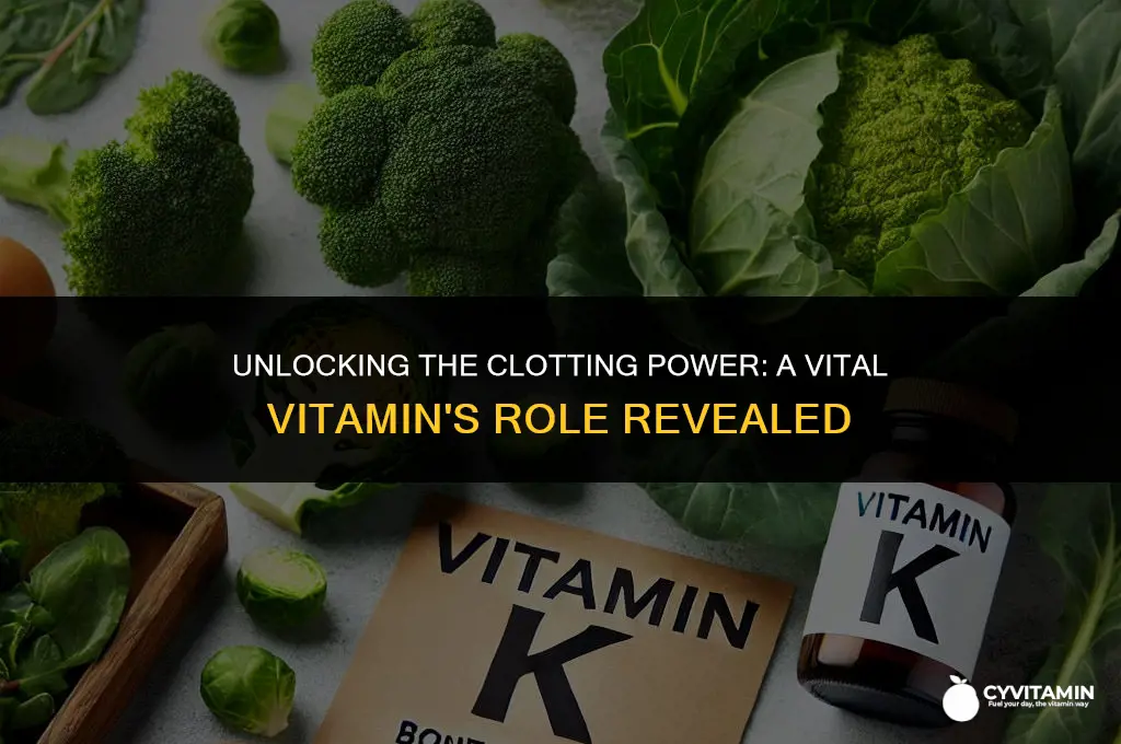 which vitamin is essential for blood to clot