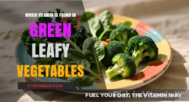 Leafy Greens: Unveiling the Powerhouse Vitamin Within