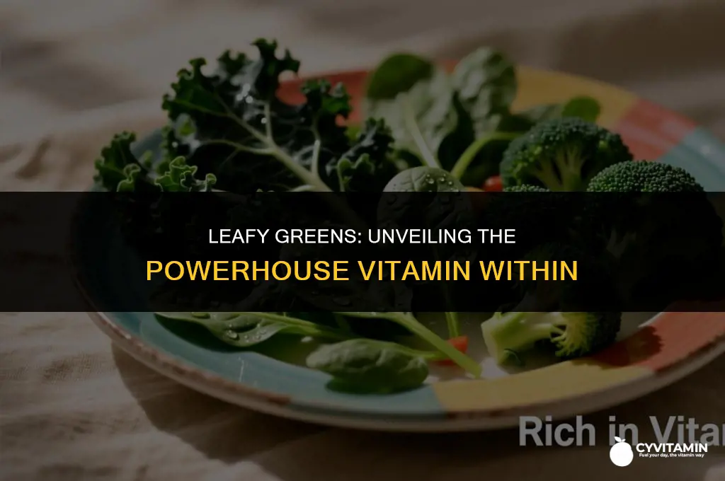 which vitamin is found in green leafy vegetables