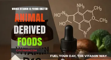 Exploring the Unique Animal-Derived Vitamin: A Nutritional Insight