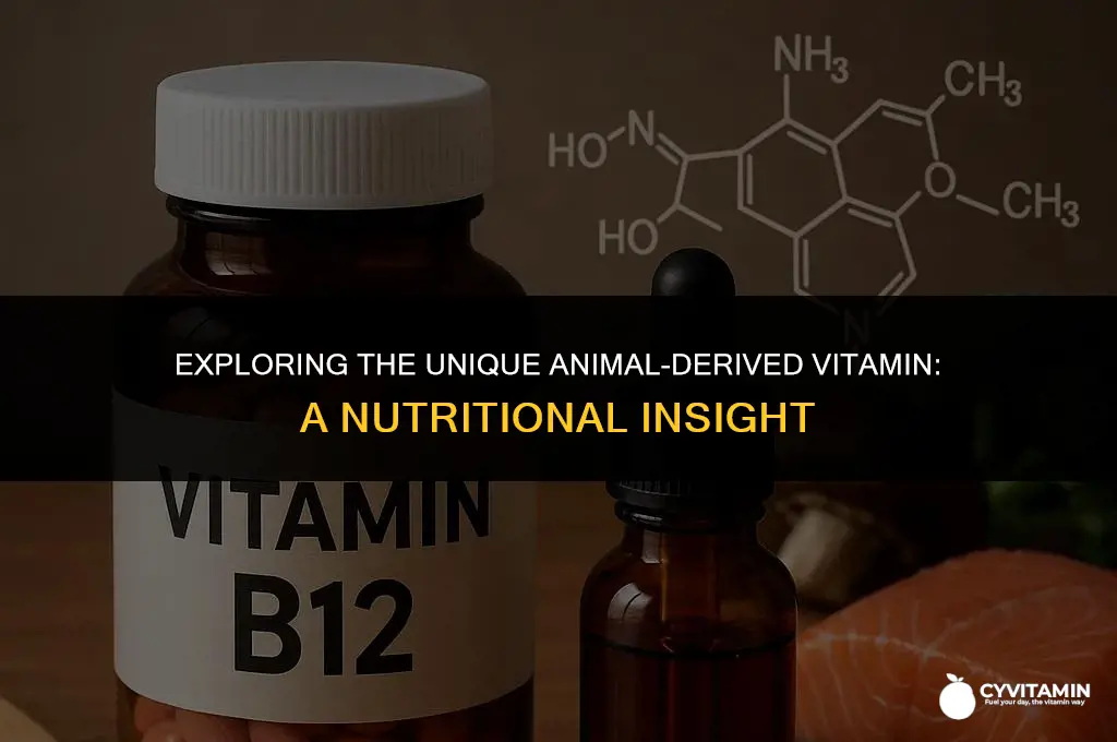 which vitamin is found only in animal derived foods