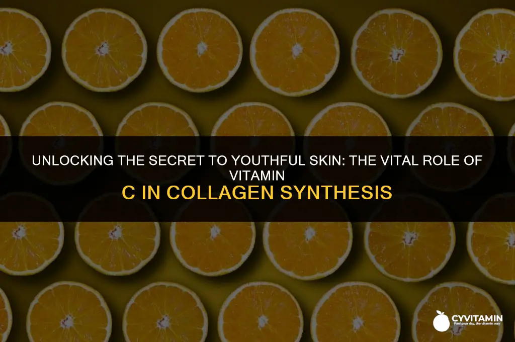 which vitamin is important for the synthesis of collagen