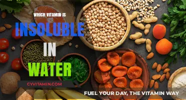Exploring the Unique Properties of Fat-Soluble Vitamins