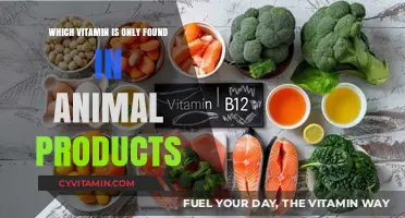 Exploring the Essential Nutrient: Vitamin B12 in Animal Products
