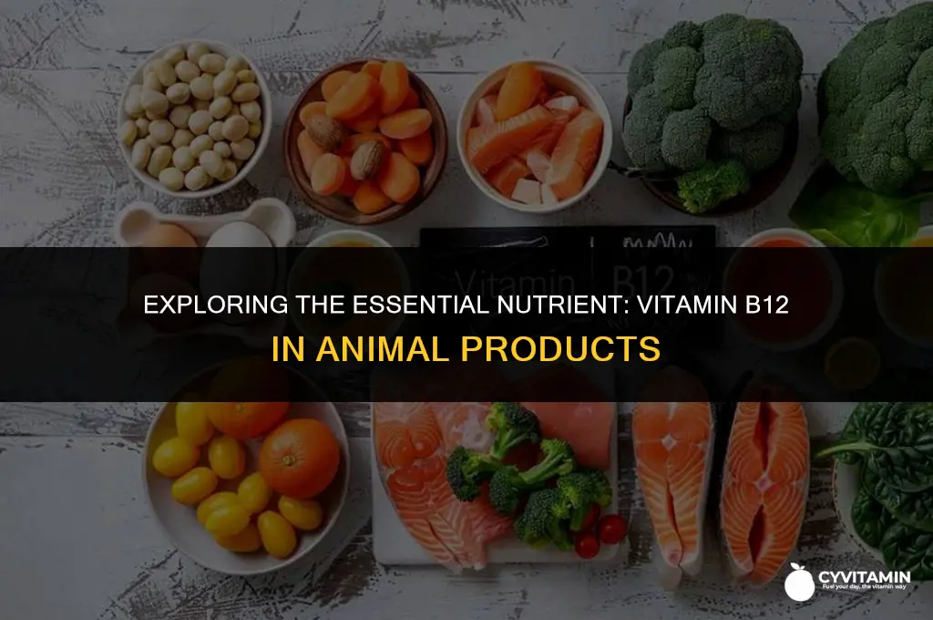 which vitamin is only found in animal products