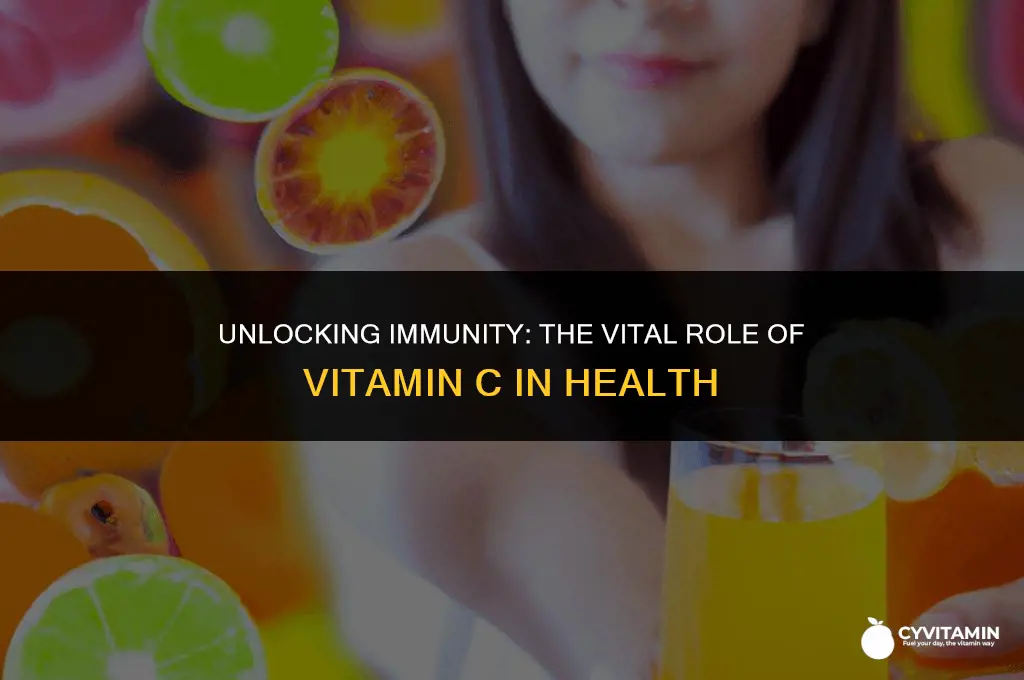 which vitamin is primarily responsible for boosting the immune system