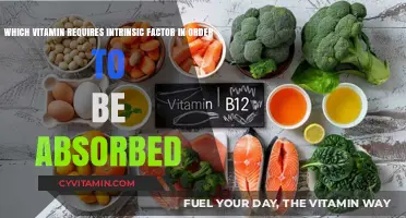 Unlocking Nutrient Absorption: The Vital Role of Intrinsic Factor