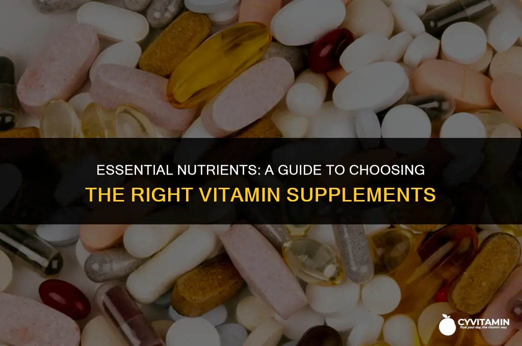 which vitamin supplements should i take