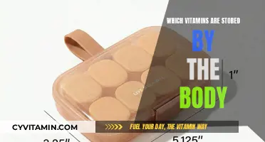 Essential Nutrients: The Body's Natural Storage System for Vitamins