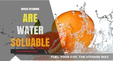 Essential Water-Soluble Vitamins: A Comprehensive Guide to Nutrition