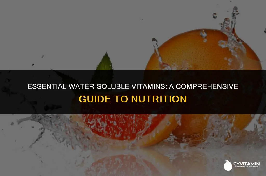 which vitamins are water soluable
