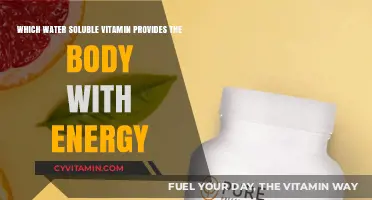 Energize Your Day: The Power of Water-Soluble Vitamins