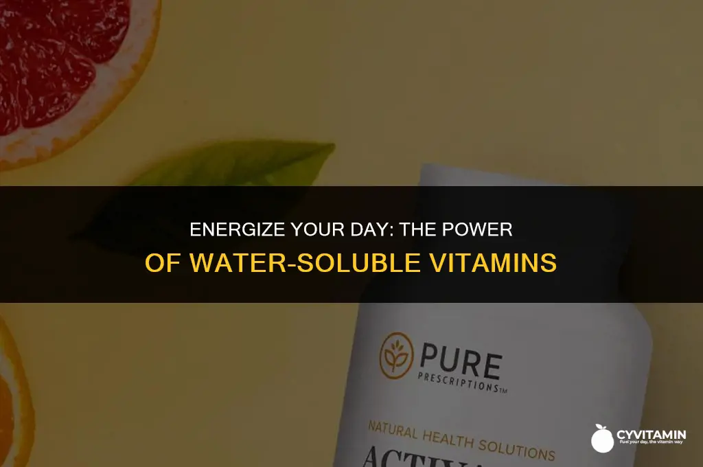 which water soluble vitamin provides the body with energy