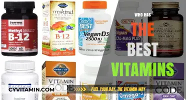 Discovering the Top Vitamin Brands for Optimal Health and Wellness