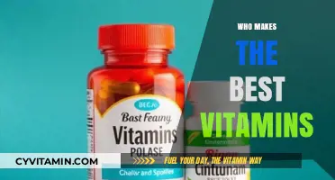 Unveiling the Top Vitamin Brands: A Comprehensive Guide