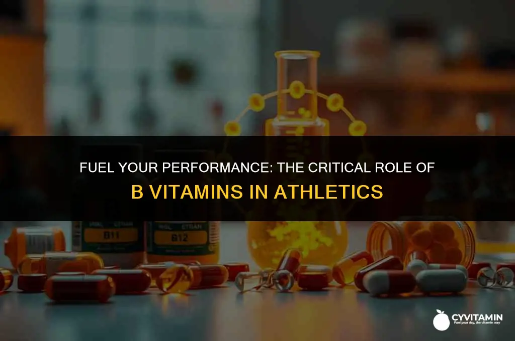 why are the b vitamins especially important to an athlete