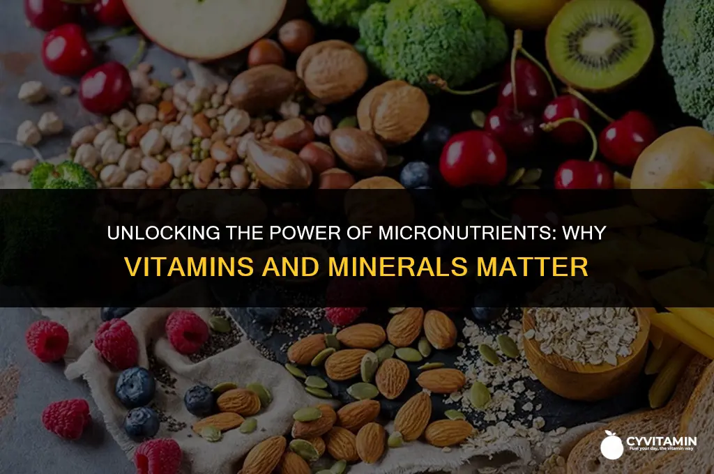 why are vitamins and minerals sometimes called micronutrients